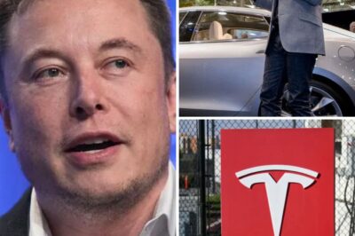 Elon Musk once gambled Tesla’s future to serve America—now critics sharpen their knives, but the company’s scars may tell a story of sacrifice, not selfishness. What really drove his high-stakes decisions behind closed doors?