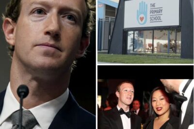 Mark Zuckerberg’s Nonprofit Faces Furious Backlash Over Shocking School Shutdown—Is This the End of His Education Dream?