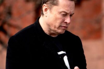 Elon Musk claims a comeback is underway, but is Tesla’s rally real—or just smoke and mirrors?