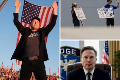Elon Musk once crowned Dogecoin as the people’s crypto—now he steps back, and the meme empire wobbles without its king. What really triggered the Dogefather’s retreat?