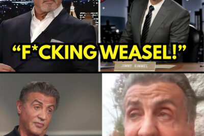 Sylvester Stallone Response To Arnold Schwarzenegger Making Fun Of Him on The Jimmy Kimmel Show (VIDEO) (NG)