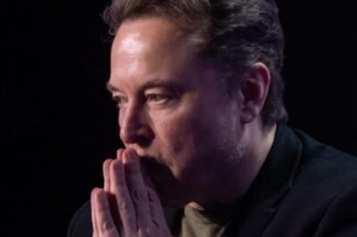 Elon Musk Once Warned of Tesla’s Fall—Now the $1 Trillion Giant Teeters, and His Own Words Echo Through Tesla’s Future. What if He Was Right All Along?