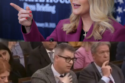 A reporter was fired after insulting Karoline Leavitt on live TV /d